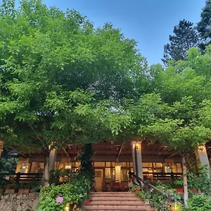 https://restorant-alberti-llogara.albaniahotels.org